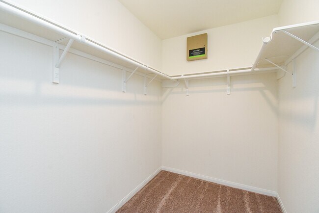 Building Photo - 4930 Lucky Fawn Ln