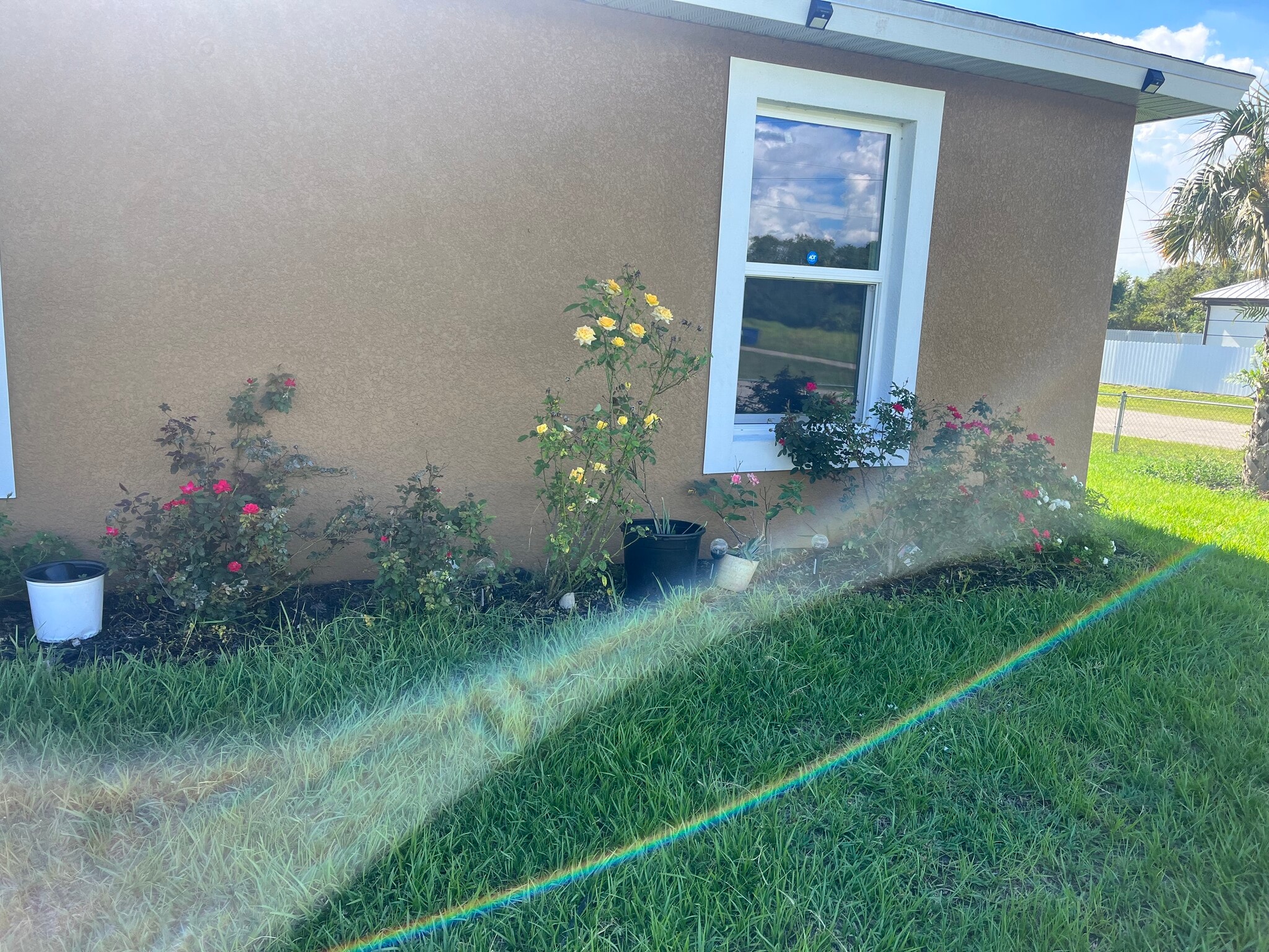 Building Photo - 2054 Detroit Dr