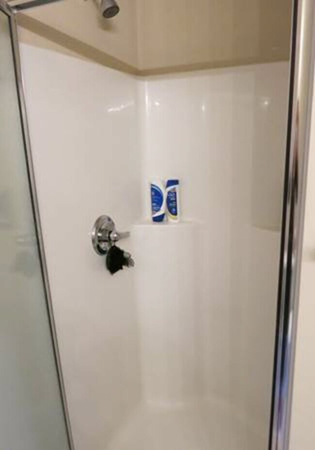 Building Photo - 25587 Portico Ln