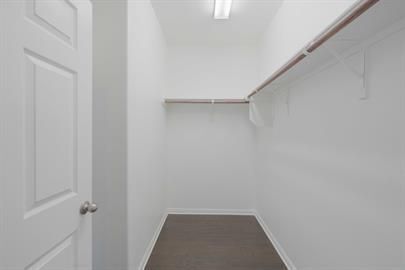 Building Photo - 5912 Wolf Pack Dr