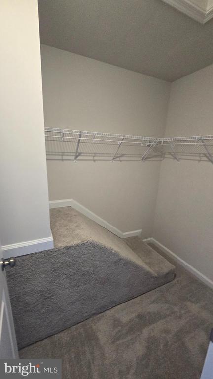 Building Photo - 36 Canning Rd