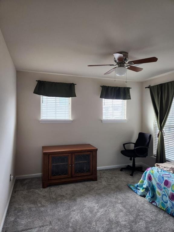 Building Photo - 3707 Feltham Ln