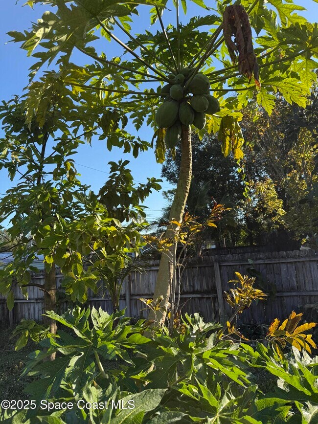 Building Photo - 767 Altona St NW