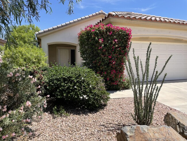 Primary Photo - 78472 Glastonbury Way