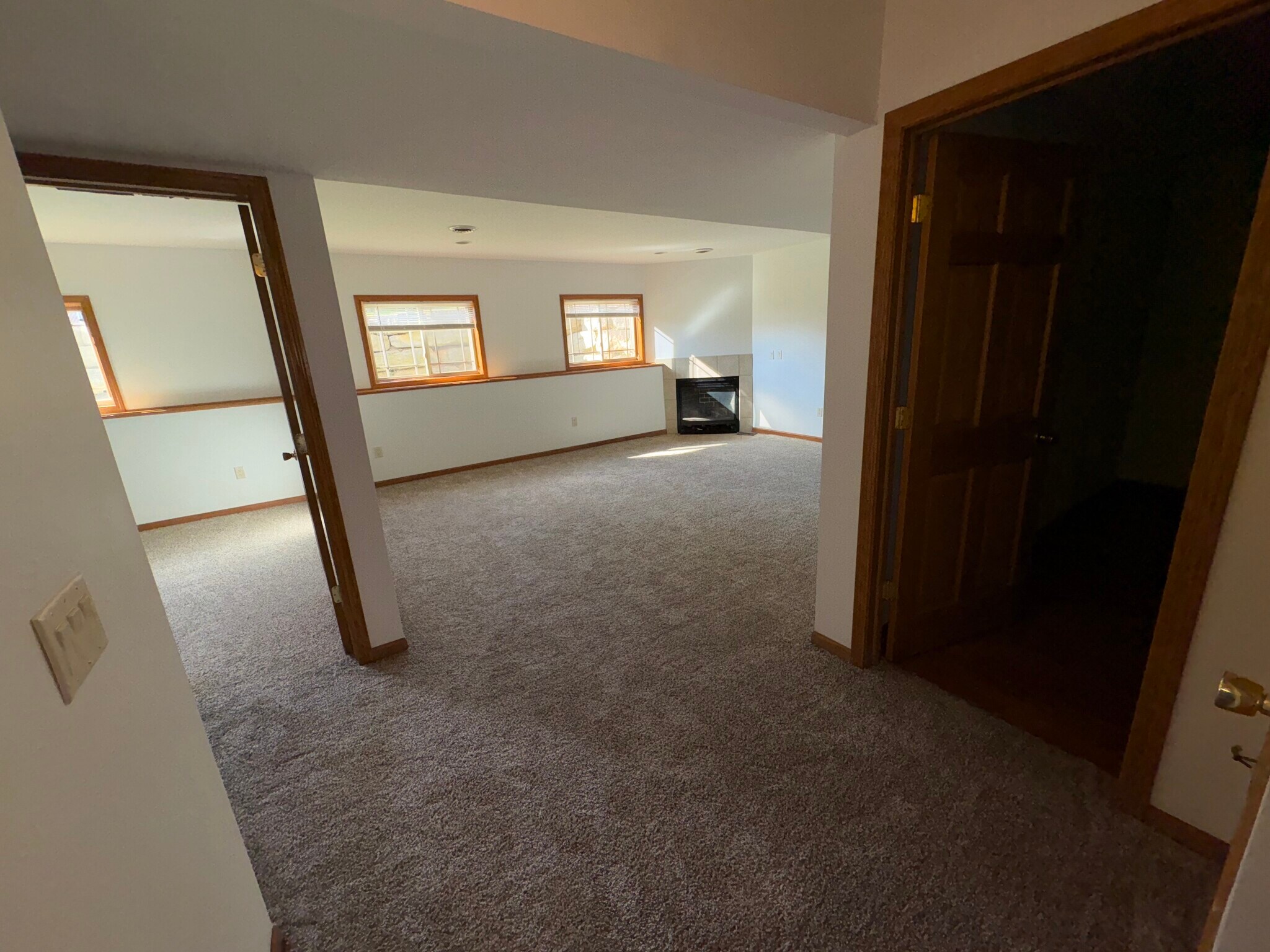 basement - 310 Redruth Dr