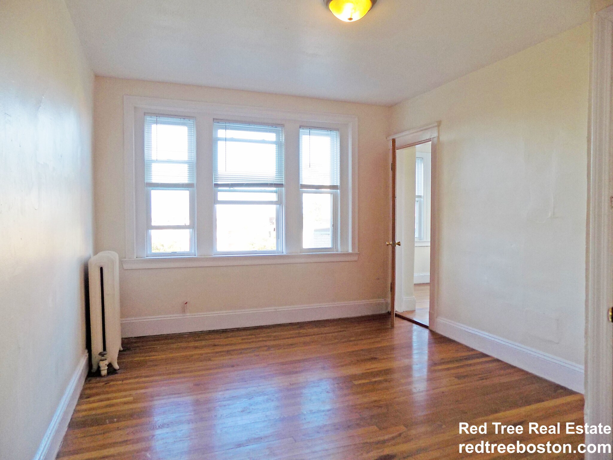 Building Photo - 244 Kelton St
