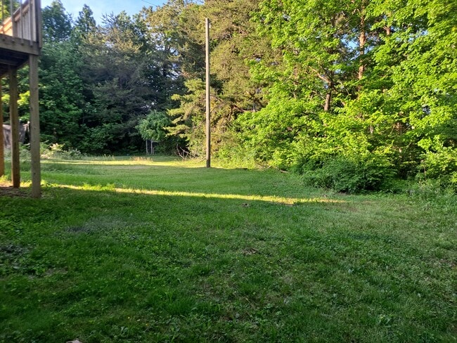 Building Photo - 6101 Cougar Dr