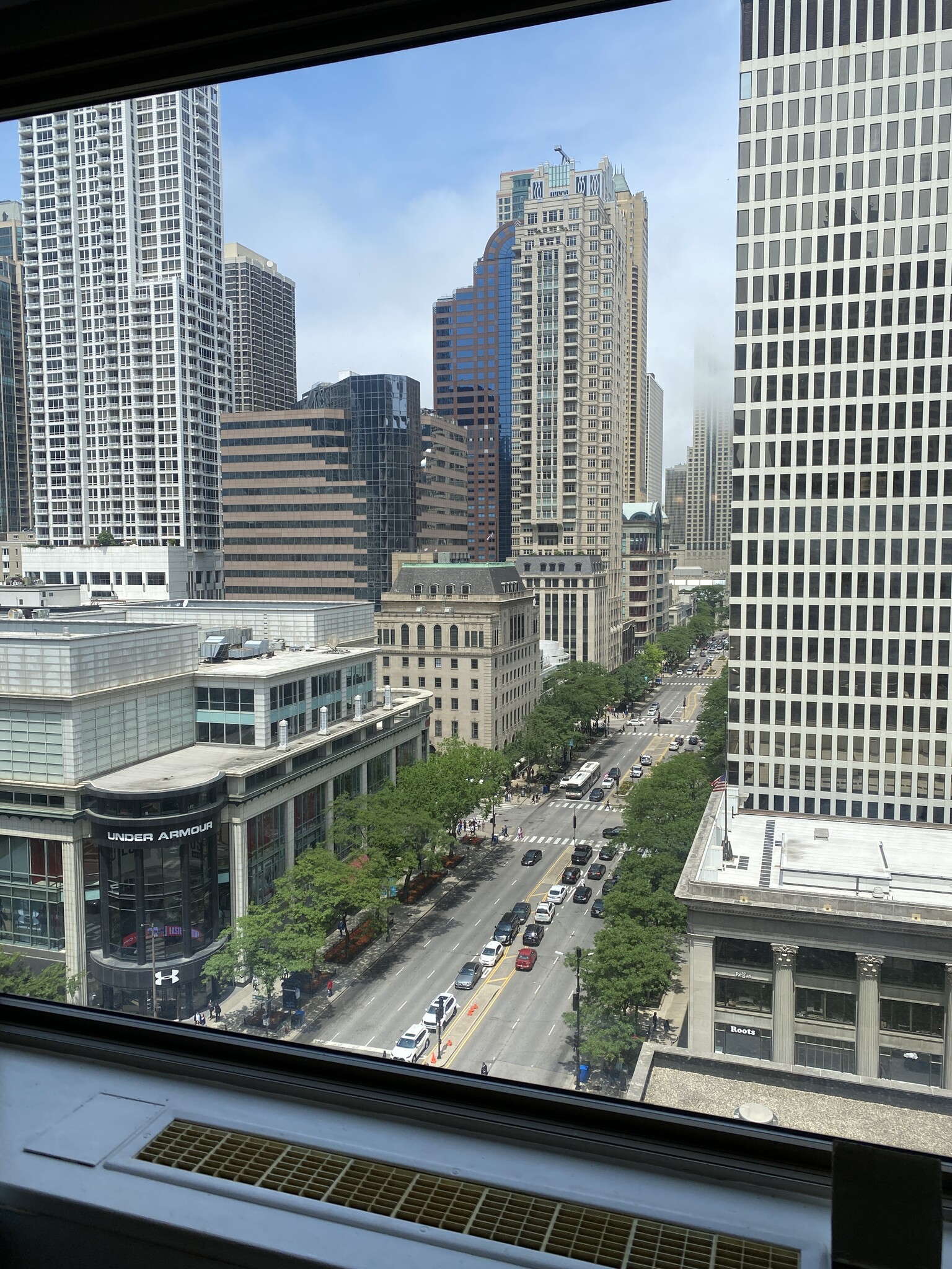 View from living room - 535 N Michigan Ave