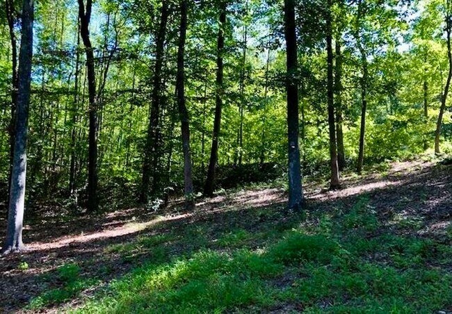 Building Photo - Spacious 3100 sq ft 3 bedroom 2 bath home on over 1.5 acres in Oak Ridge, NC