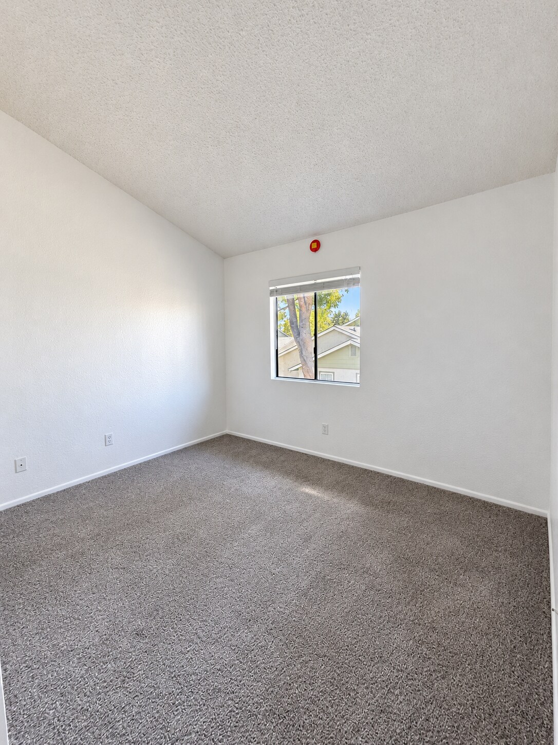 Building Photo - 8320 Vineyard Ave