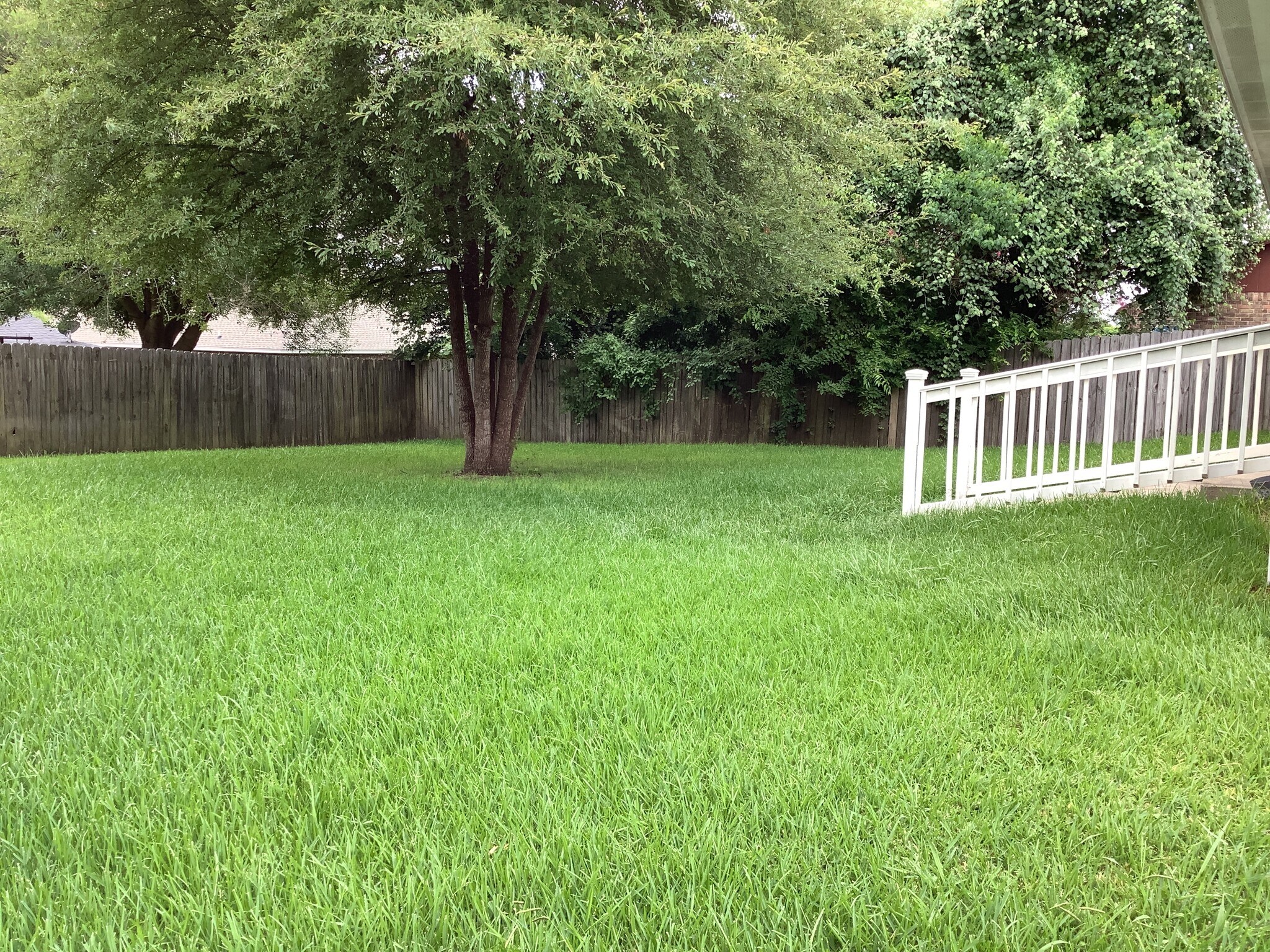 Building Photo - 13049 Skyline Dr