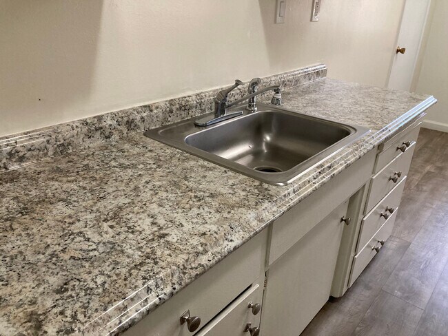 Kitchen Sink - 1737 Ross Cir