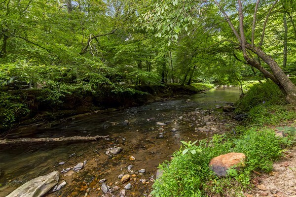 Building Photo - 1519 Tipton Springs Rd