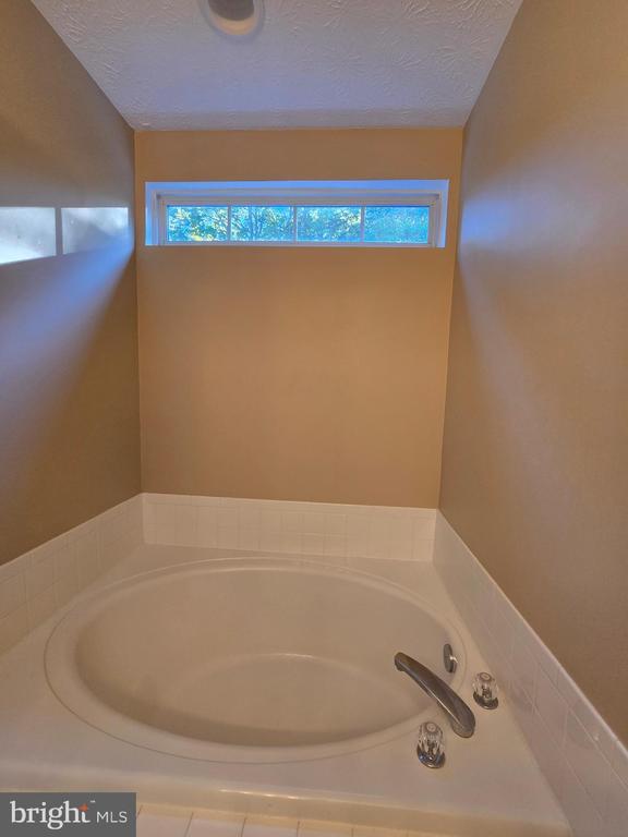 Building Photo - 160 Leeds Creek Cir