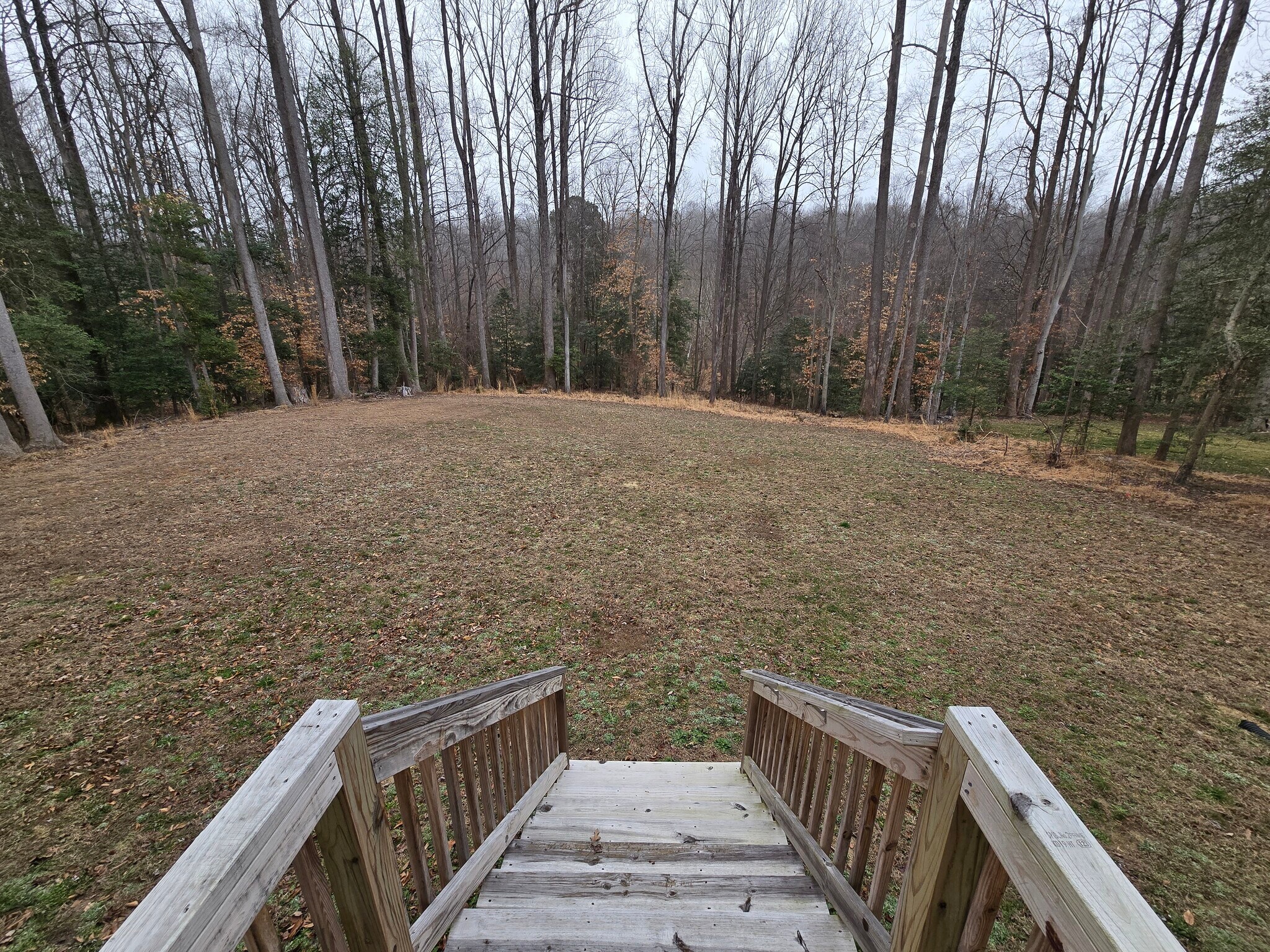 Building Photo - 8483 Scouts Rd