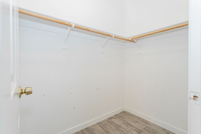 Building Photo - 8611 Splendid Leaf Ct