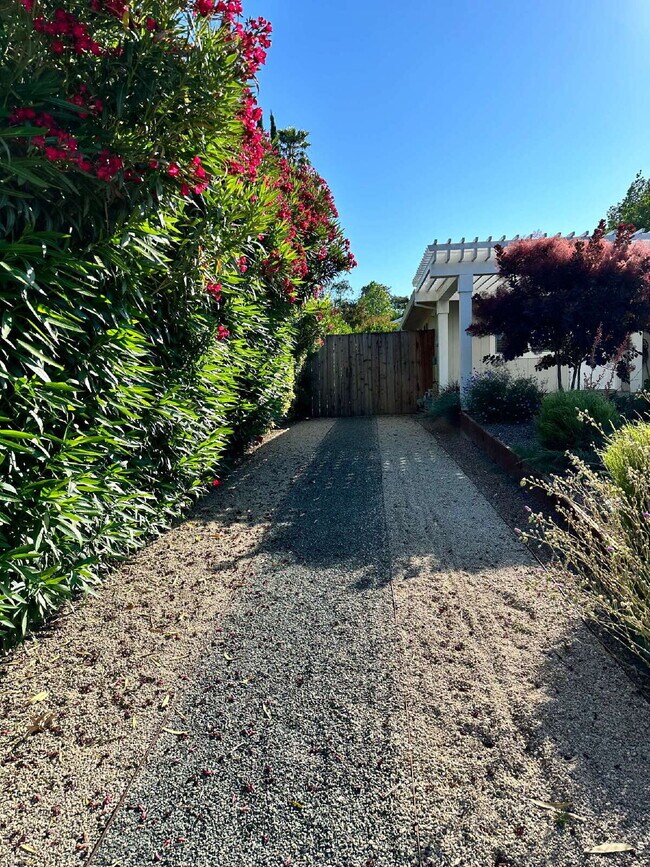Building Photo - Sonoma 4 Bed 2 Bath Home.