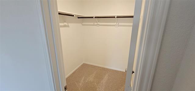 Building Photo - 9205 Grackle Pl