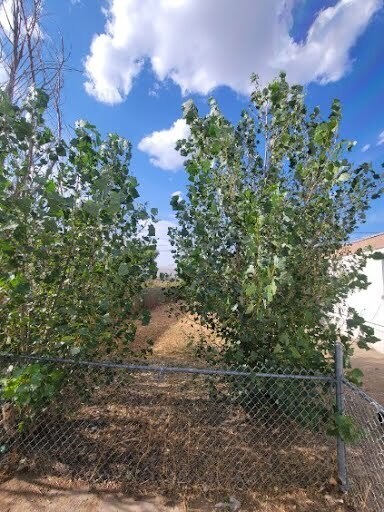 Building Photo - 27 Babur St