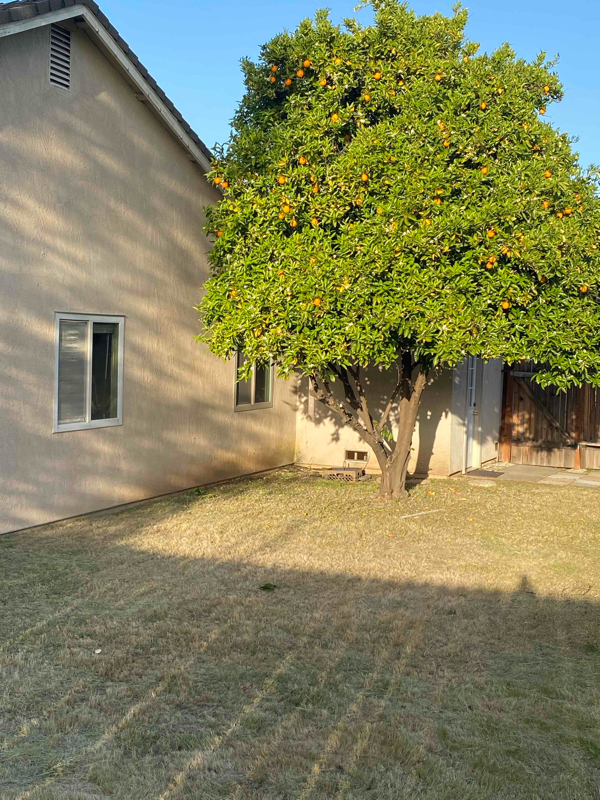 Building Photo - 5905 Small Hill Ct