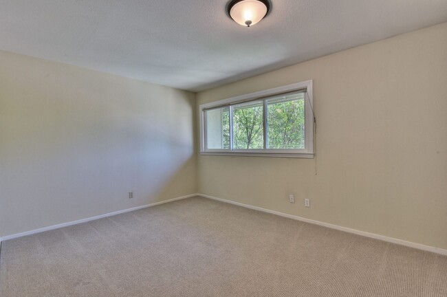 Building Photo - 1225 Picasso Dr