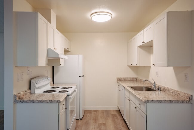 Kitchen - Olive Tree Apartments