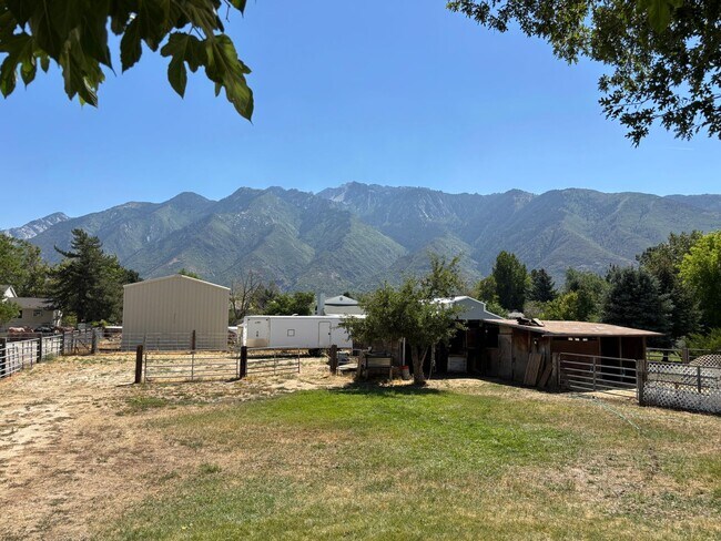 Building Photo - Mountain Views at Meadow Cove on 1/4 Acre ...