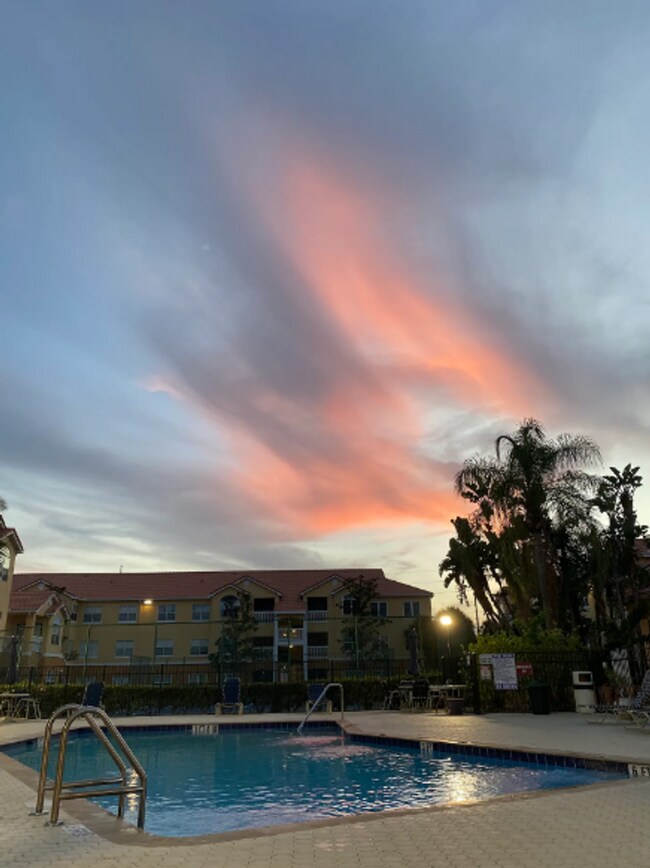 Building Photo - Stunning 1-Bedroom Condo in Seminole – Just 5 Minutes from the Beach!