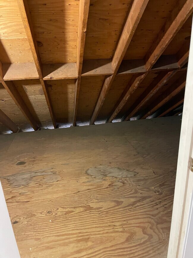 Walkin attic with plenty of storage - 3405 Dumaine Ct