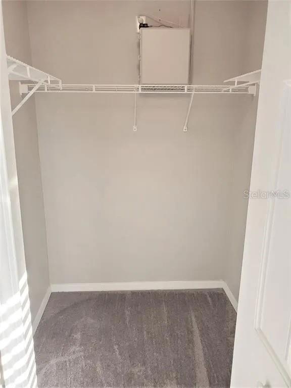 Building Photo - 3430 Dragon View Ct