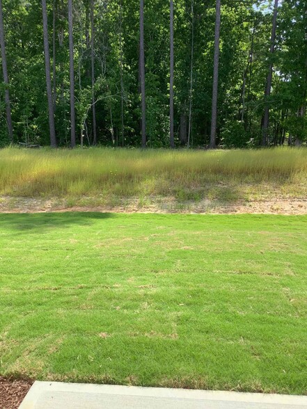 Building Photo - 1036 Sweet Woodruff Dr