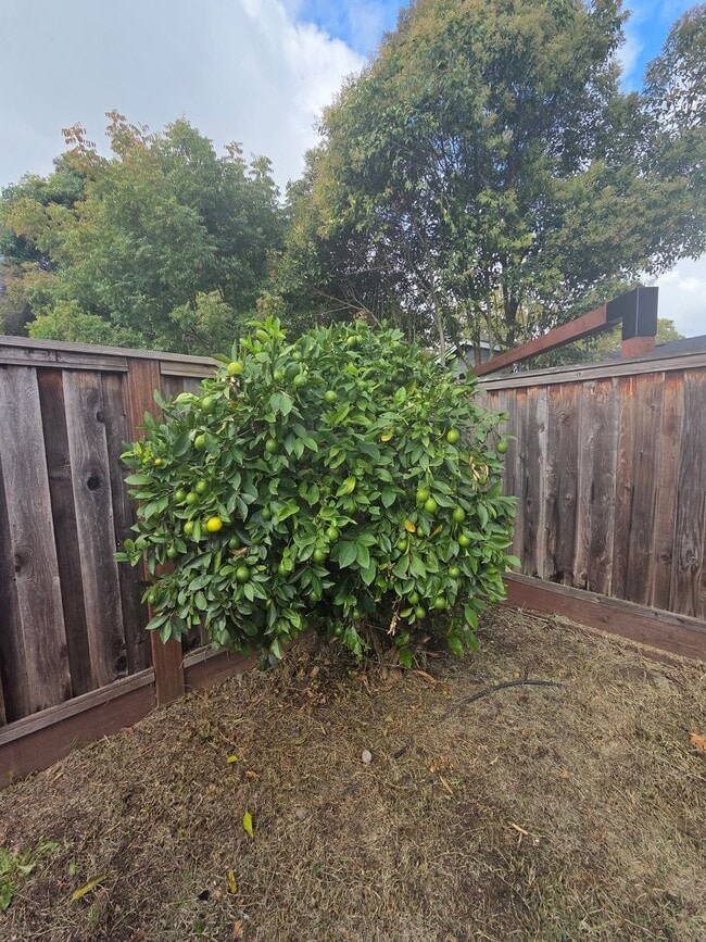 Building Photo - **Move - In Specials Available ! Reduced D...