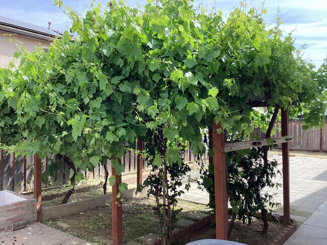 Building Photo - 5162 W Home Ave