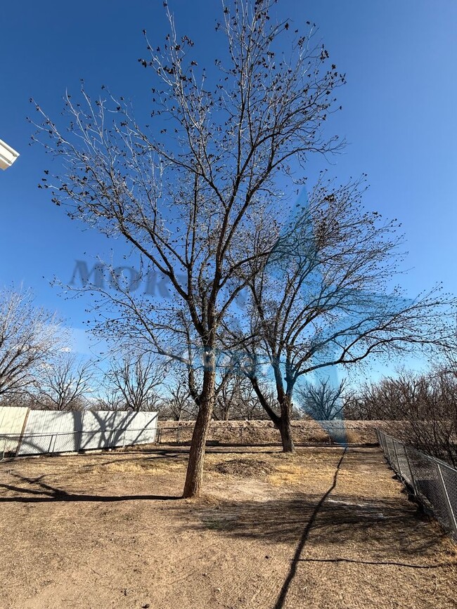 Building Photo - REDUCED! Updated, large lot, refrigerated ...