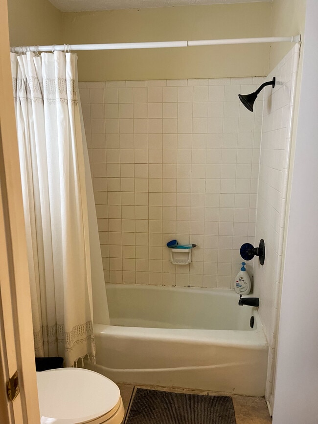 Shared wet area (toilet and shower) - 421 W San Antonio St