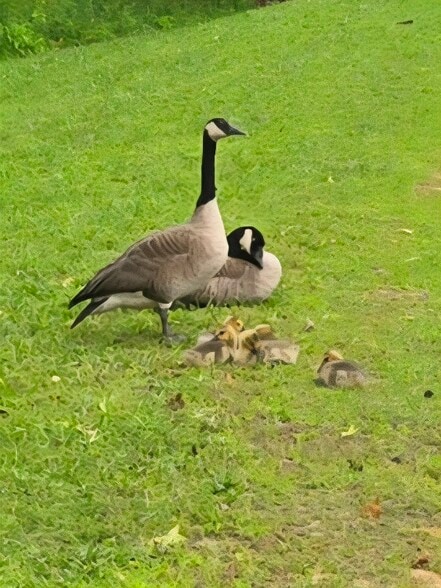 Building Photo - 8860 Teague Rd