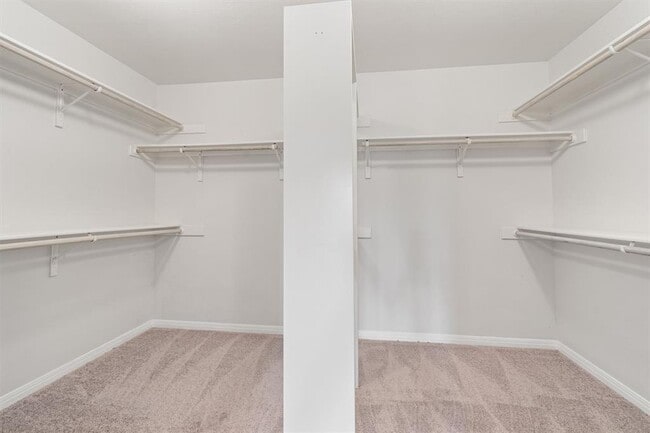 Building Photo - 803 Cashew Ln