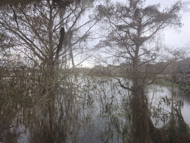 Building Photo - 4176 Versailles Dr