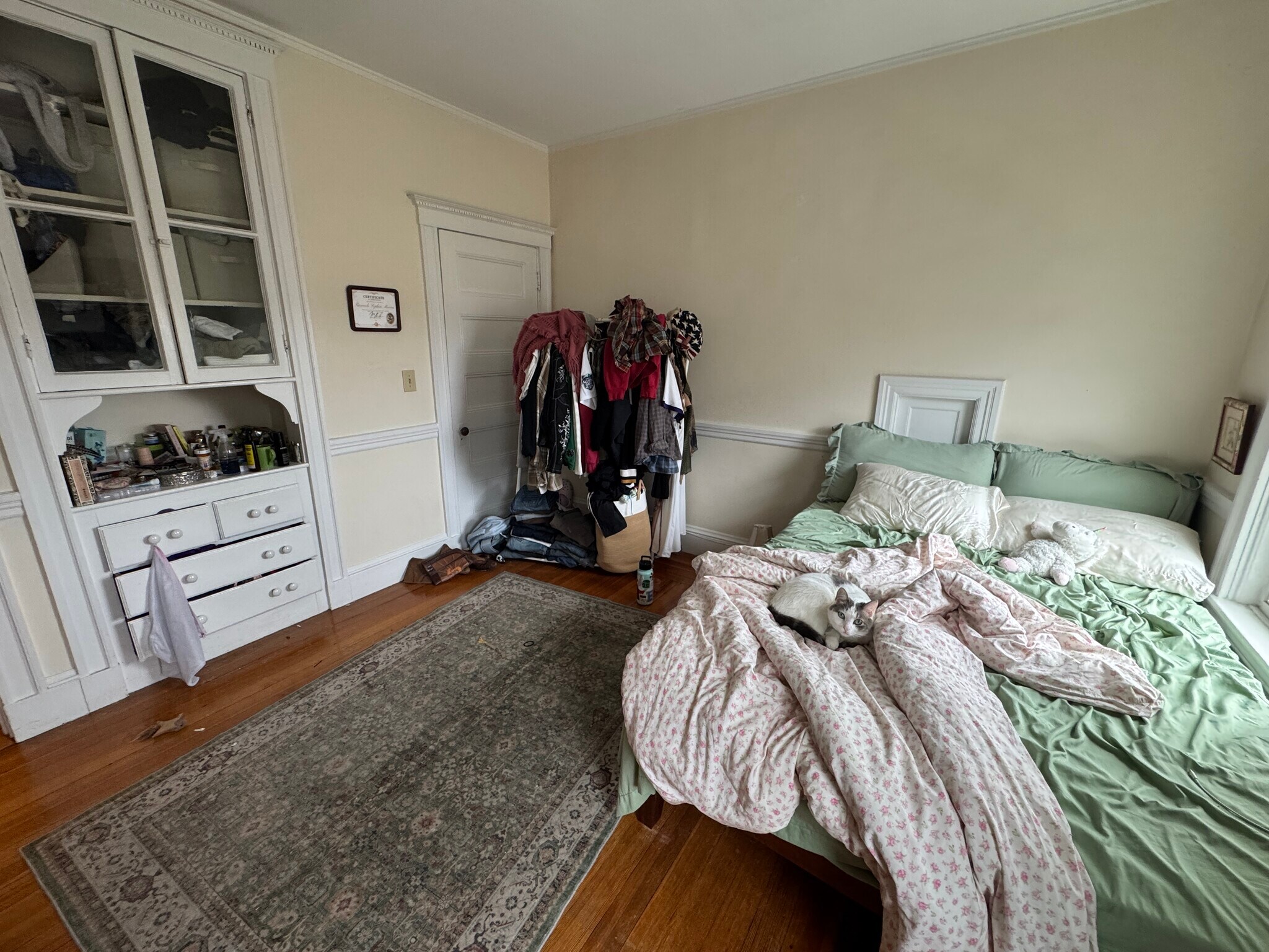 Building Photo - 51 Ibbetson St