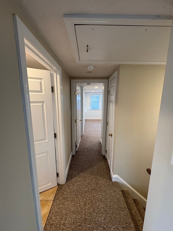 Building Photo - 3 Piraino Ln