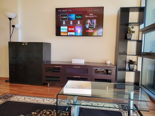 TV in Living Area - 321 10th Ave