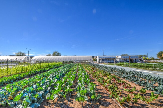 Building Photo - 4655 S Vapor