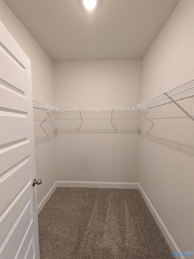 Building Photo - 336 Jackson Pt Cir