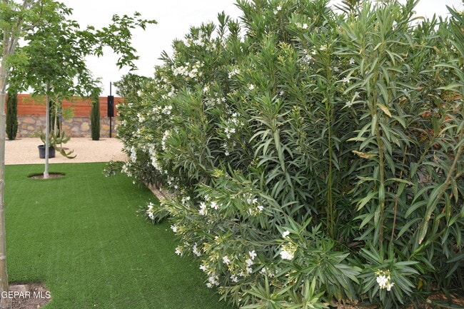 Building Photo - 355 Sol Ct