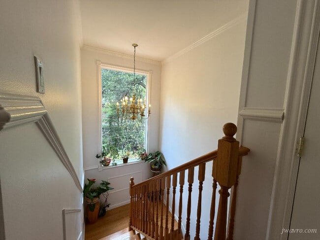 Building Photo - 150 Tiptoe Ln