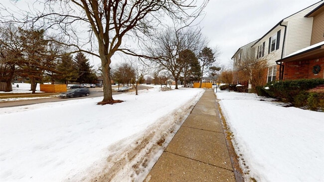 Building Photo - 3008 Bolgos Cir