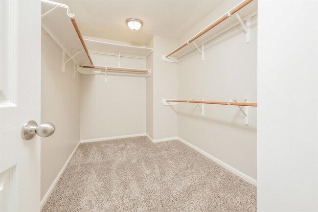 Building Photo - 8319 Loetsch Ridge Way