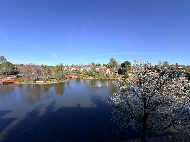 Building Photo - Beautiful Lakefront Home in the Vineyard! 55+ community