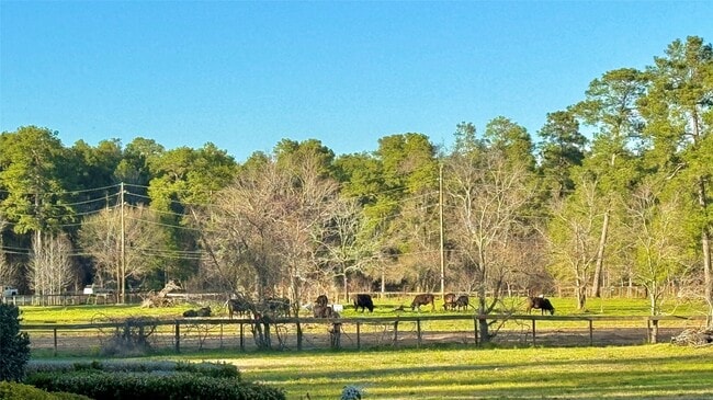 Building Photo - 15216 Saddlewood Dr