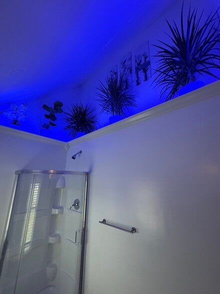 Building Photo - 536 Arsenal St